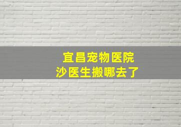 宜昌宠物医院沙医生搬哪去了