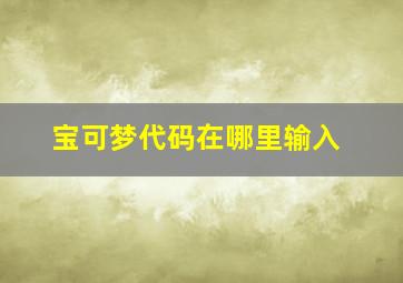 宝可梦代码在哪里输入