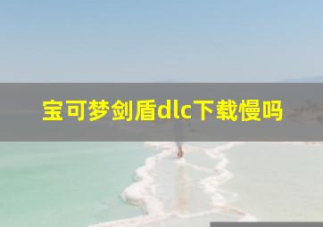 宝可梦剑盾dlc下载慢吗