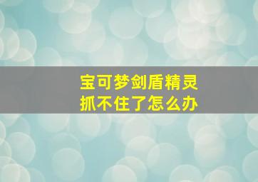 宝可梦剑盾精灵抓不住了怎么办