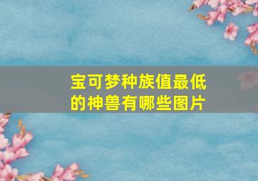 宝可梦种族值最低的神兽有哪些图片