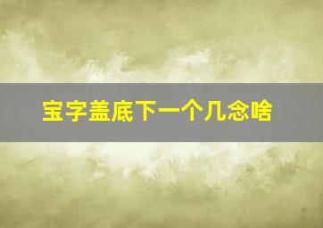 宝字盖底下一个几念啥