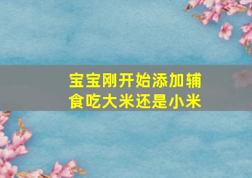 宝宝刚开始添加辅食吃大米还是小米