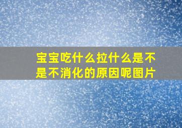 宝宝吃什么拉什么是不是不消化的原因呢图片