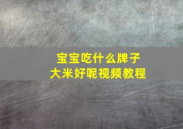 宝宝吃什么牌子大米好呢视频教程