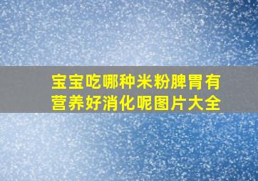 宝宝吃哪种米粉脾胃有营养好消化呢图片大全