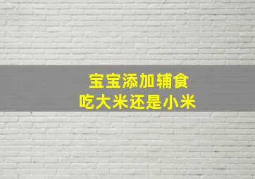 宝宝添加辅食吃大米还是小米