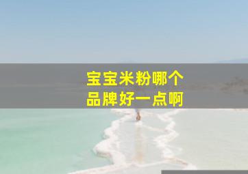 宝宝米粉哪个品牌好一点啊