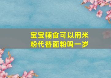 宝宝辅食可以用米粉代替面粉吗一岁