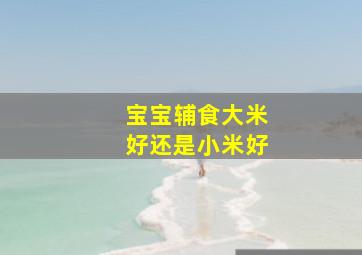 宝宝辅食大米好还是小米好