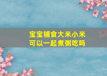 宝宝辅食大米小米可以一起煮粥吃吗