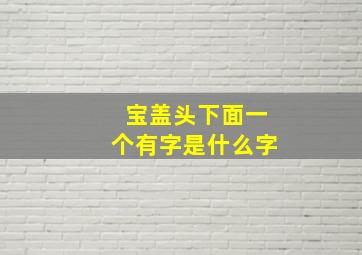 宝盖头下面一个有字是什么字