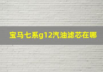 宝马七系g12汽油滤芯在哪