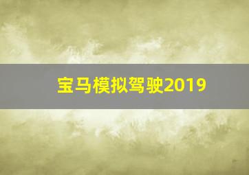 宝马模拟驾驶2019