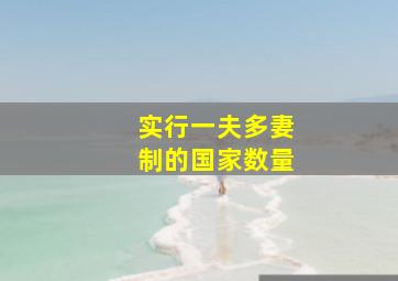 实行一夫多妻制的国家数量