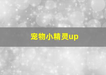 宠物小精灵up