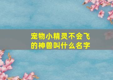 宠物小精灵不会飞的神兽叫什么名字