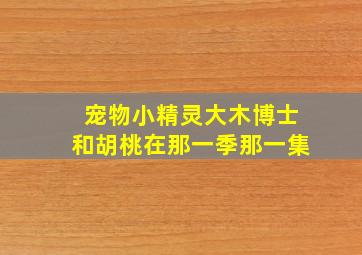 宠物小精灵大木博士和胡桃在那一季那一集