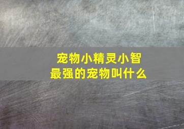 宠物小精灵小智最强的宠物叫什么