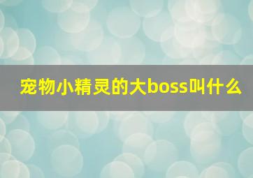 宠物小精灵的大boss叫什么