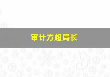 审计方超局长