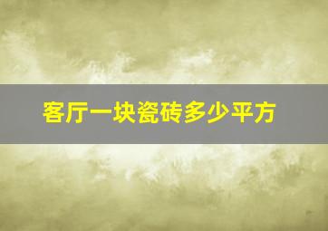 客厅一块瓷砖多少平方