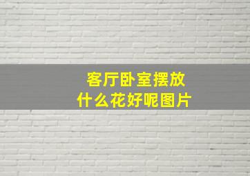 客厅卧室摆放什么花好呢图片