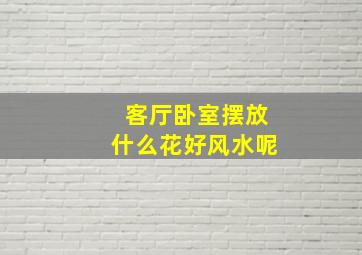 客厅卧室摆放什么花好风水呢