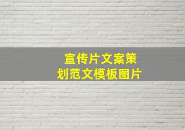 宣传片文案策划范文模板图片