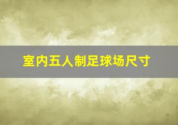 室内五人制足球场尺寸