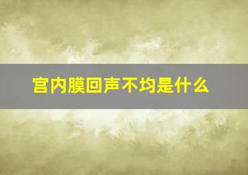 宫内膜回声不均是什么