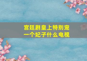 宫廷剧皇上特别宠一个妃子什么电视