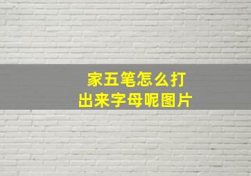 家五笔怎么打出来字母呢图片