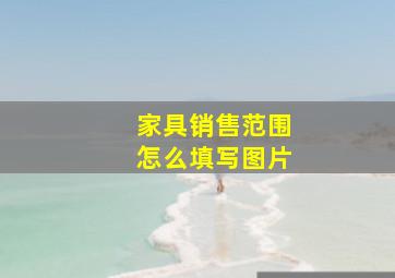 家具销售范围怎么填写图片