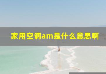 家用空调am是什么意思啊