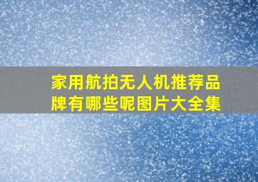 家用航拍无人机推荐品牌有哪些呢图片大全集