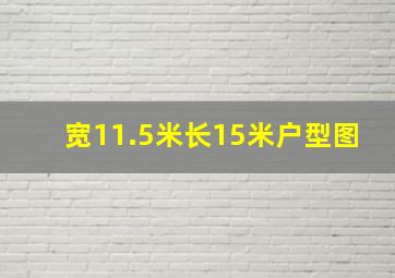 宽11.5米长15米户型图