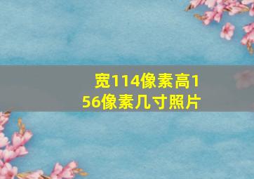 宽114像素高156像素几寸照片