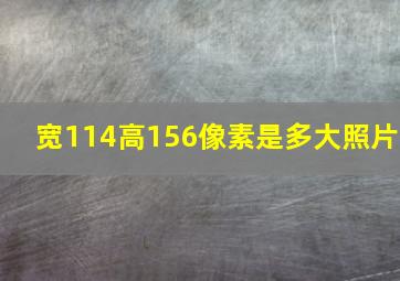 宽114高156像素是多大照片