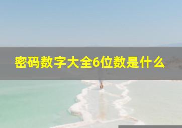 密码数字大全6位数是什么