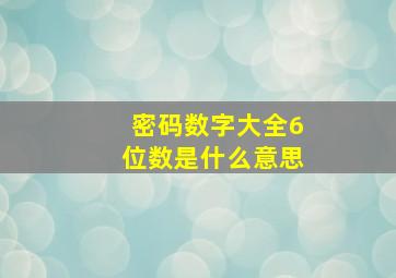 密码数字大全6位数是什么意思