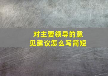 对主要领导的意见建议怎么写简短