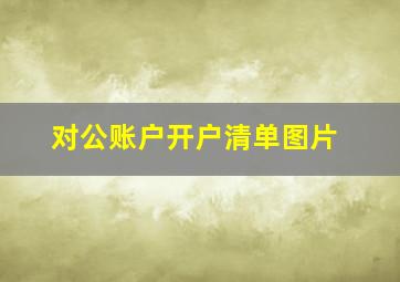 对公账户开户清单图片