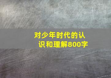 对少年时代的认识和理解800字