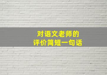 对语文老师的评价简短一句话