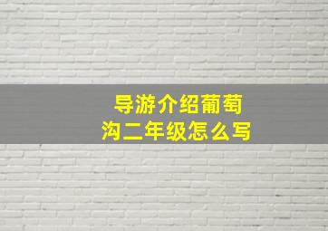 导游介绍葡萄沟二年级怎么写