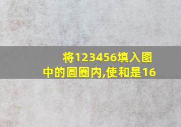 将123456填入图中的圆圈内,使和是16