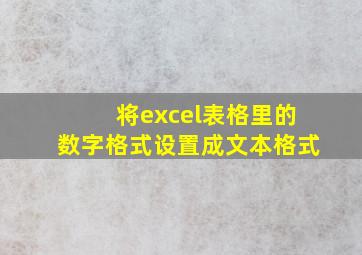 将excel表格里的数字格式设置成文本格式