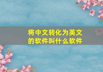 将中文转化为英文的软件叫什么软件