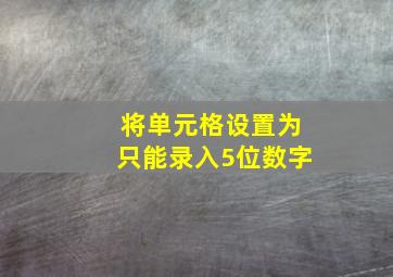 将单元格设置为只能录入5位数字